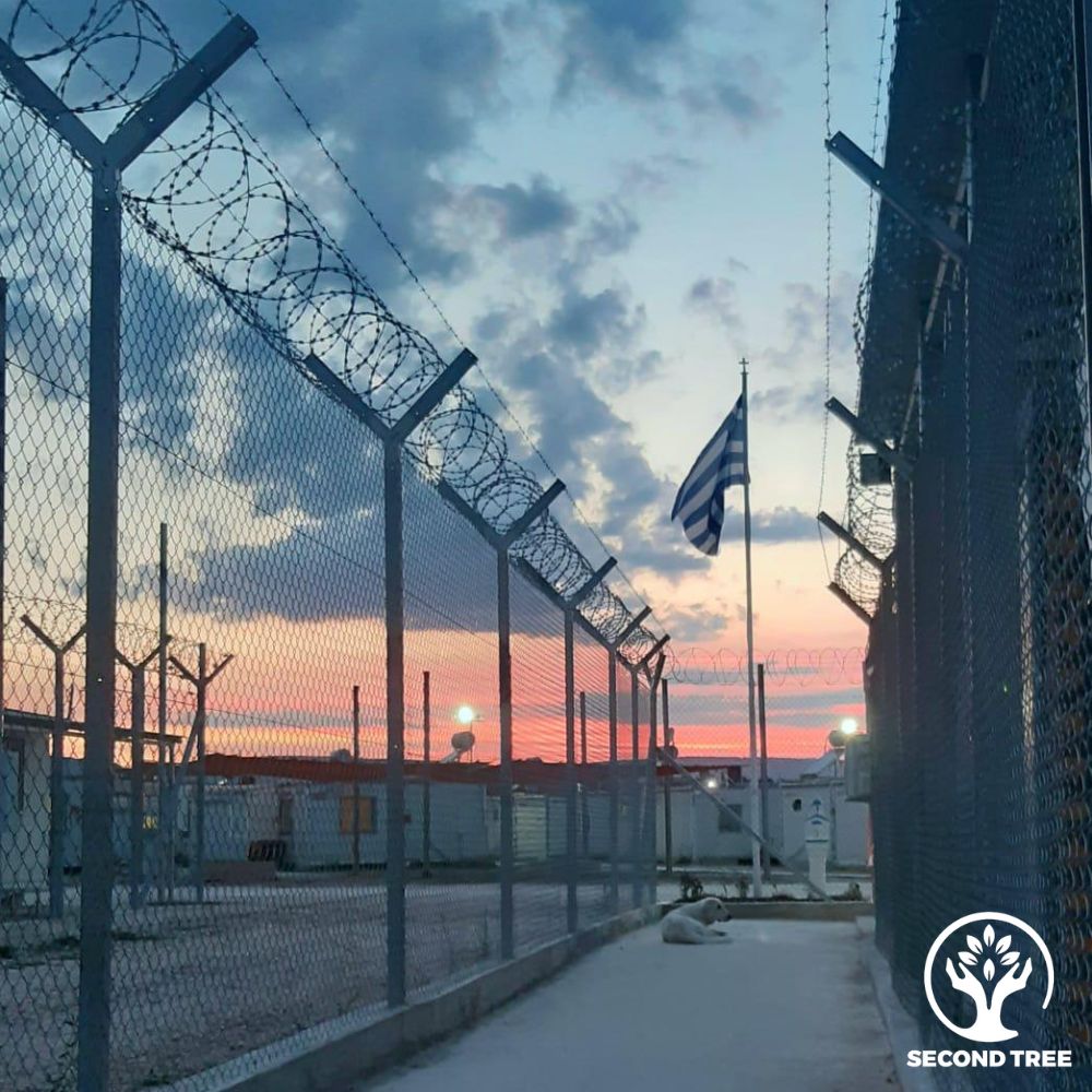 Madrid Photography FP Carrousel 2